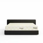Dreamer1000 Support Spring Mattress