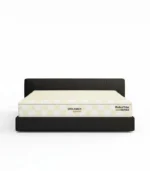 Dreamer1000 Support Spring Mattress