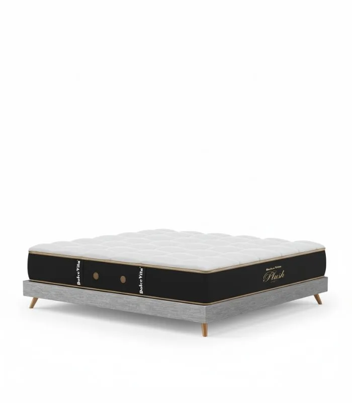 Plush Soft Spring Mattress (2) Plush Soft Spring Mattress
