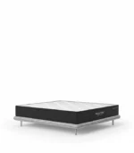 Spine Tonic Mattress