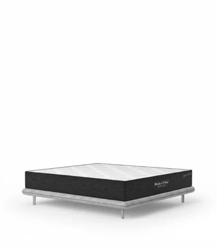 Spine Tonic Mattress