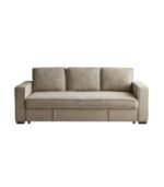 Cozy Nest Sofa Cum Bed