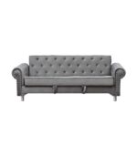 Relaxer Sofa Cum Bed
